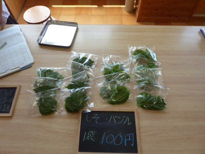 P1150254