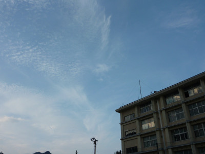 P1150503